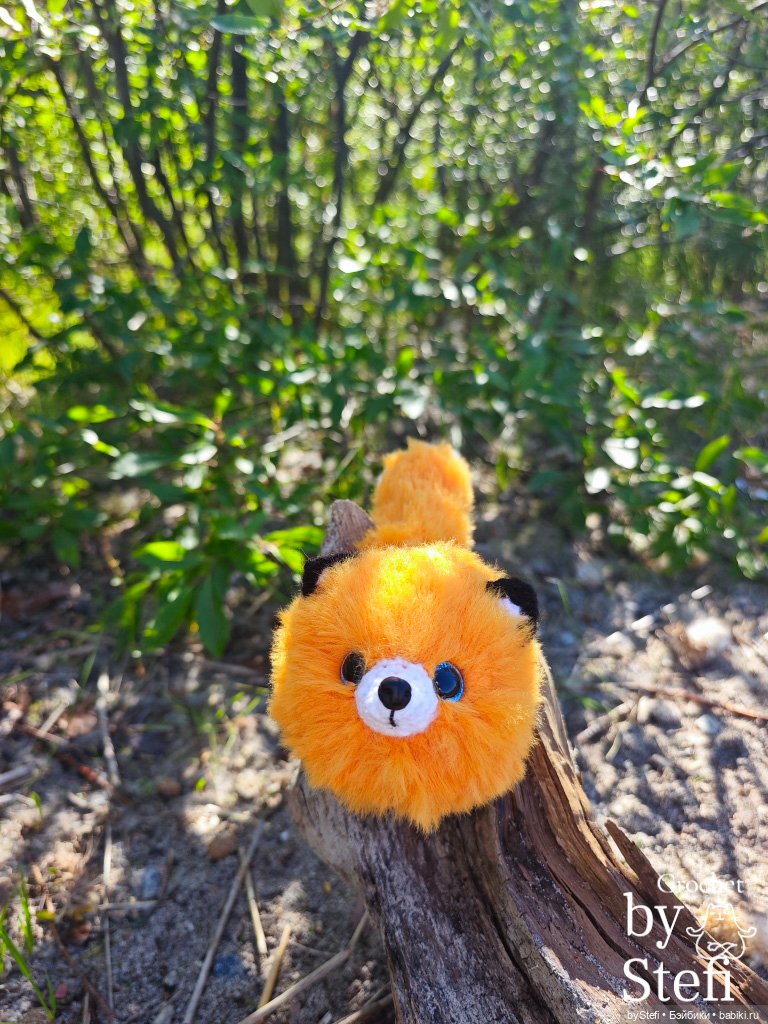 Пушистый лисик на прогулке (фото 7)