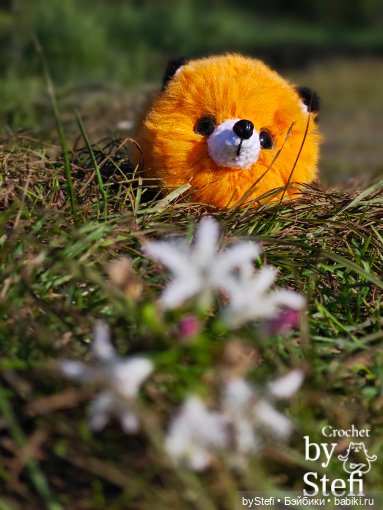 Пушистый лисик на прогулке