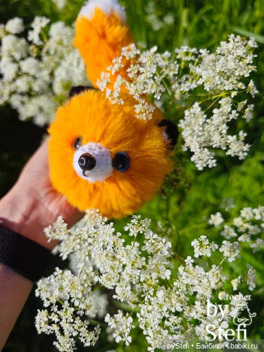 Пушистый лисик на прогулке