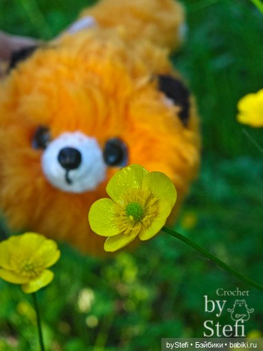 Пушистый лисик на прогулке