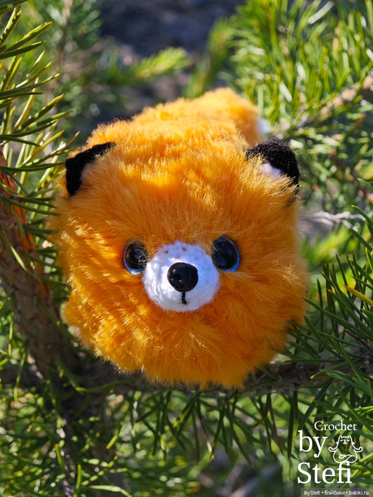 Пушистый лисик на прогулке (фото 3)