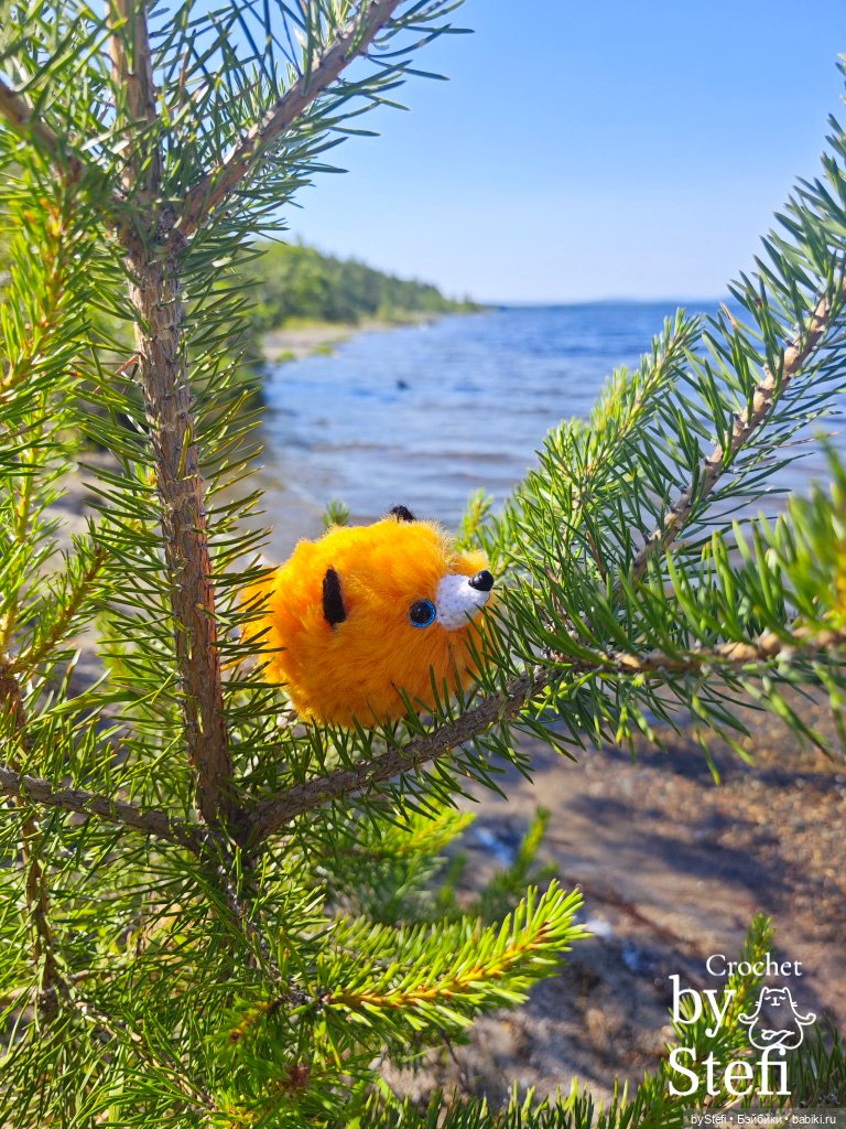 Пушистый лисик на прогулке