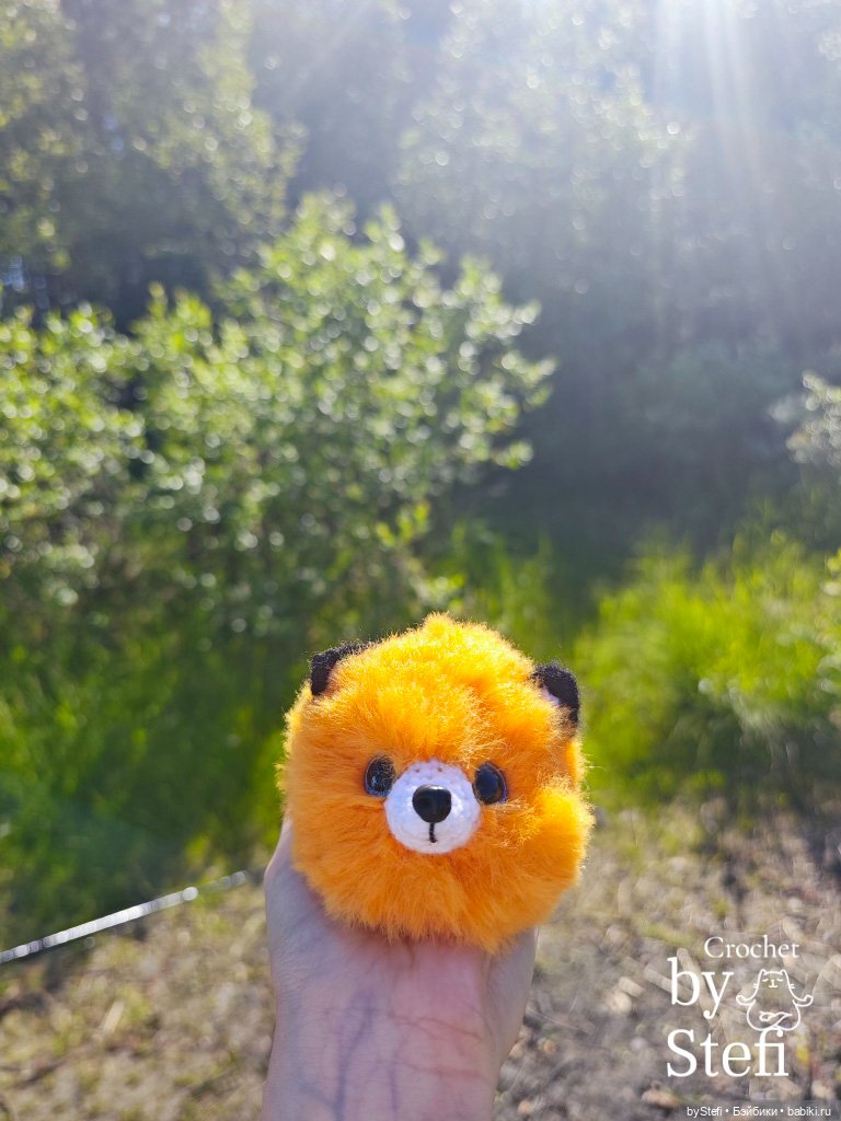 Пушистый лисик на прогулке