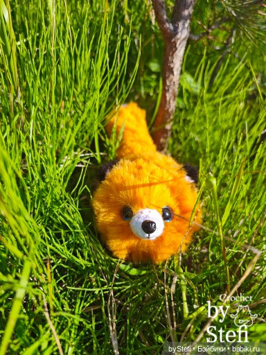 Пушистый лисик на прогулке