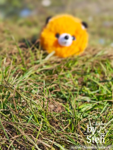 Пушистый лисик на прогулке