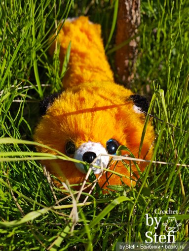 Пушистый лисик на прогулке