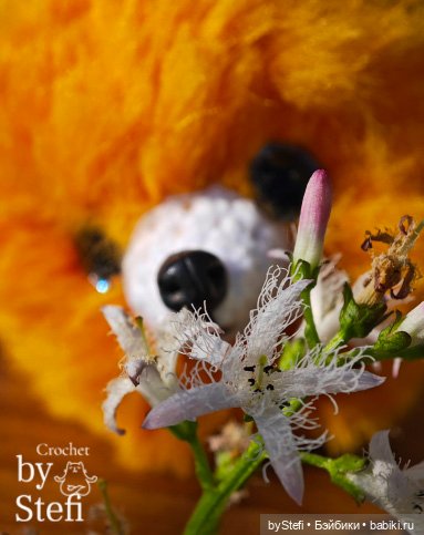 Пушистый лисик на прогулке