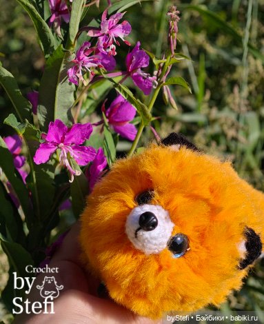 Пушистый лисик на прогулке