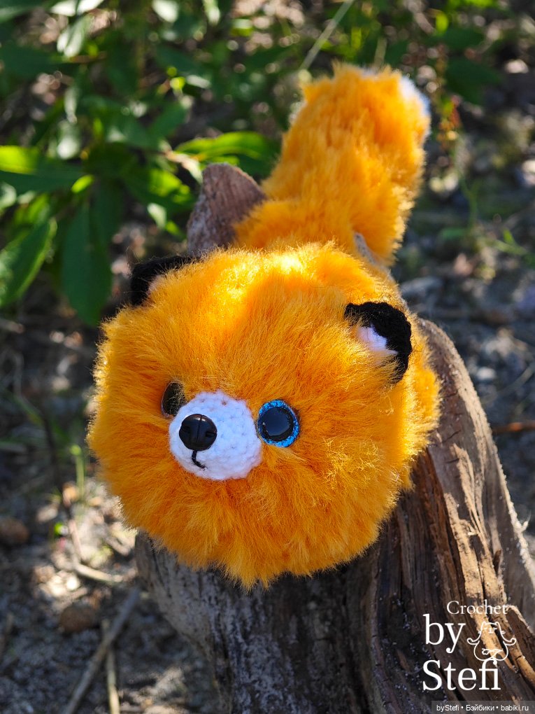 Пушистый лисик на прогулке (фото 6)