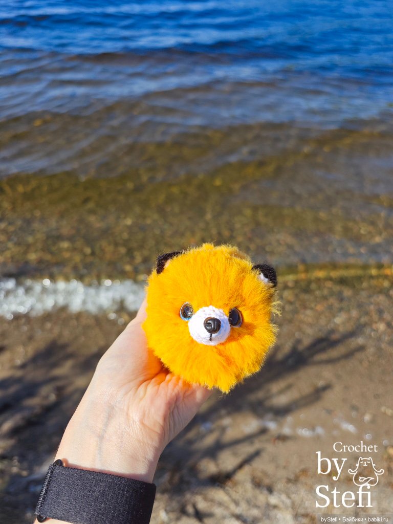 Пушистый лисик на прогулке (фото 4)