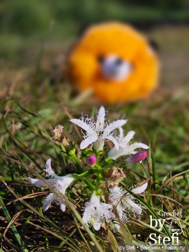 Пушистый лисик на прогулке