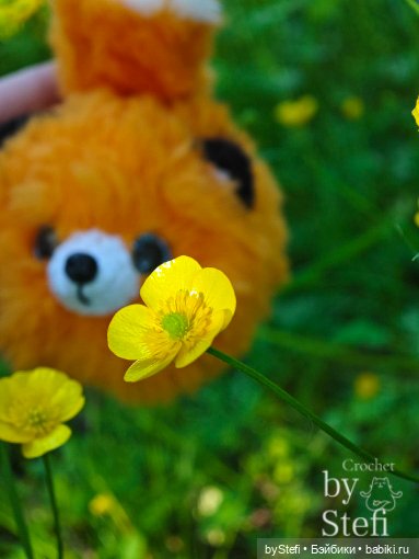 Пушистый лисик на прогулке