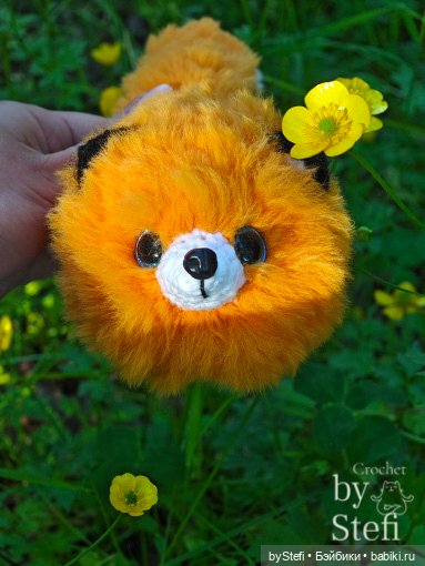 Пушистый лисик на прогулке