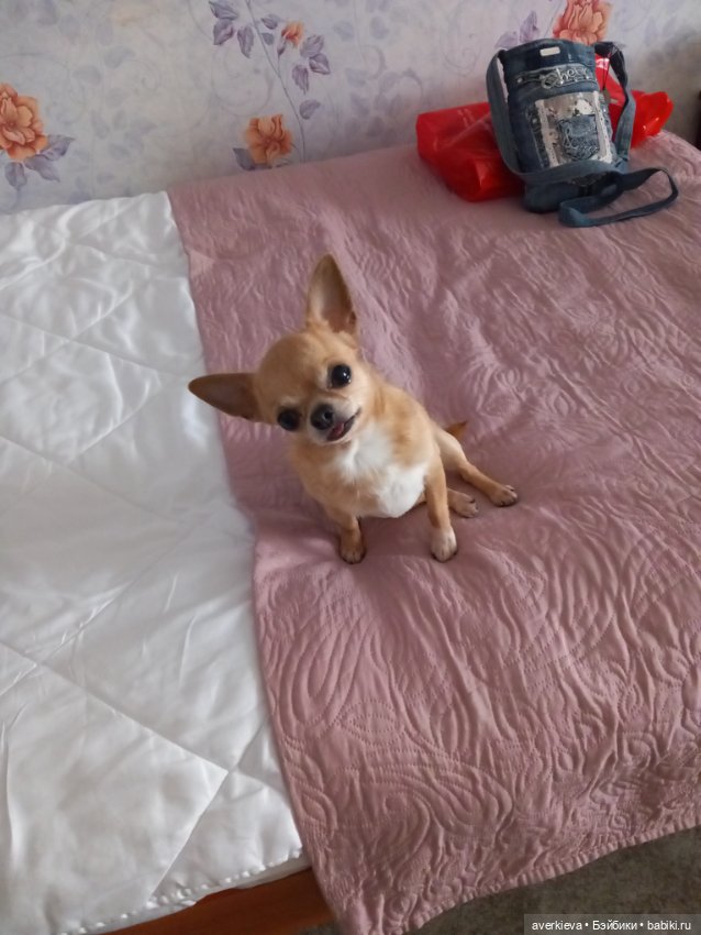 Поехали — Винтажные куклы ГДР (Немки): Бигги