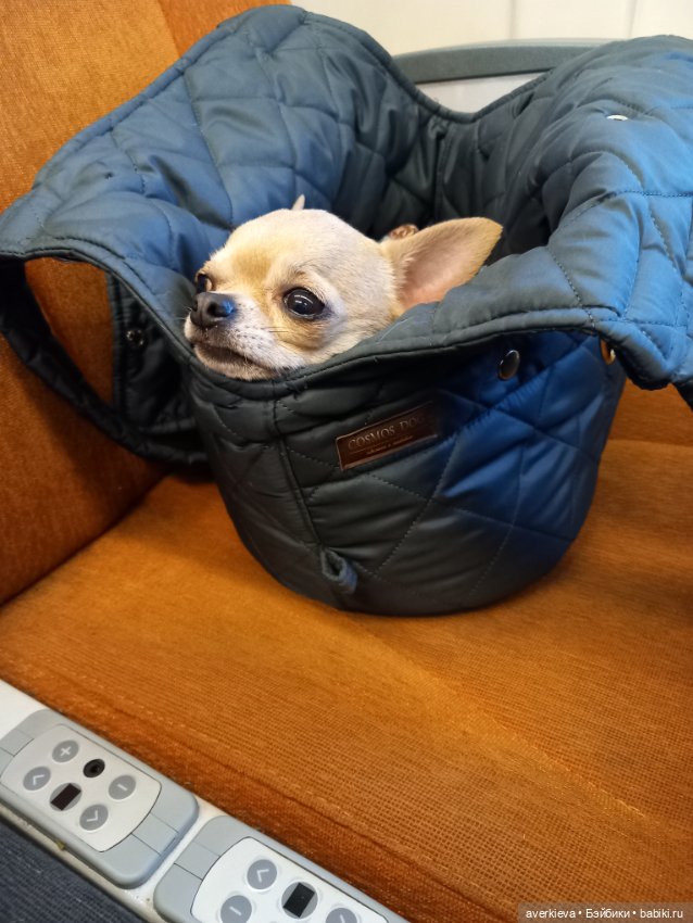 Поехали — Винтажные куклы ГДР (Немки): Бигги