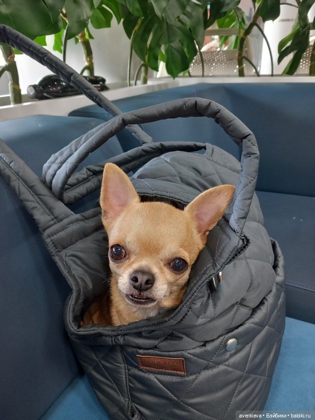 Поехали — Винтажные куклы ГДР (Немки): Бигги