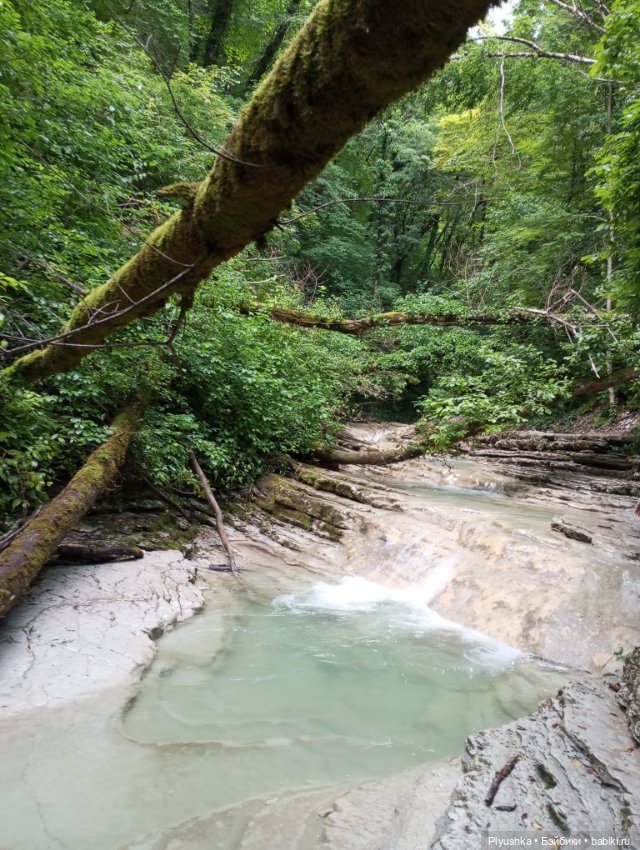 Крошка Басик - путешественник. Пшадские водопады