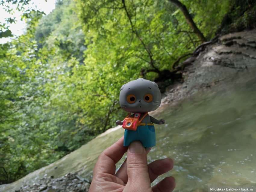 Крошка Басик - путешественник. Пшадские водопады