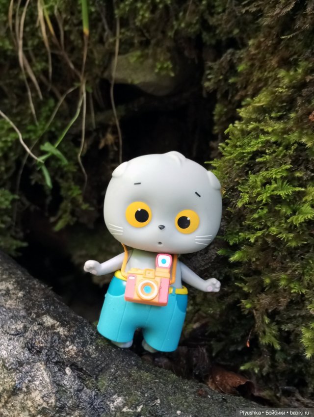 Крошка Басик - путешественник. Пшадские водопады