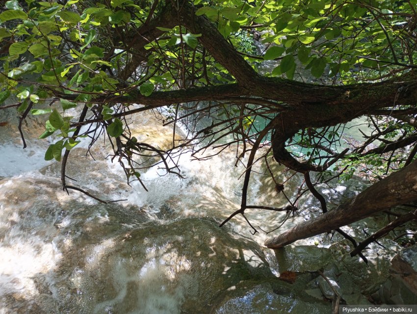 Крошка Басик - путешественник. Пшадские водопады