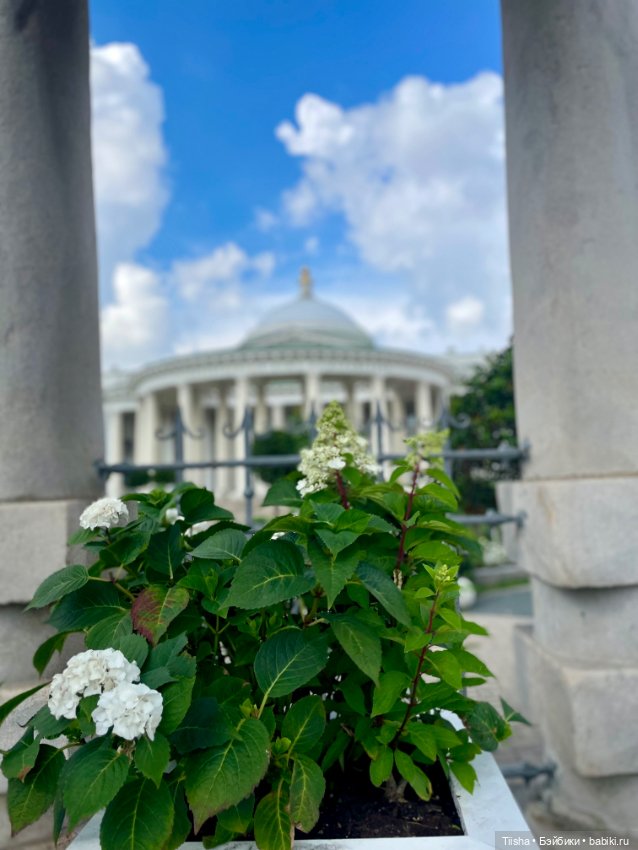 Лайт в летнем саду странноприимного дома Шереметьевых