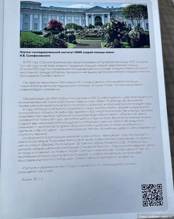 Лайт в летнем саду странноприимного дома Шереметьевых (фото 4)