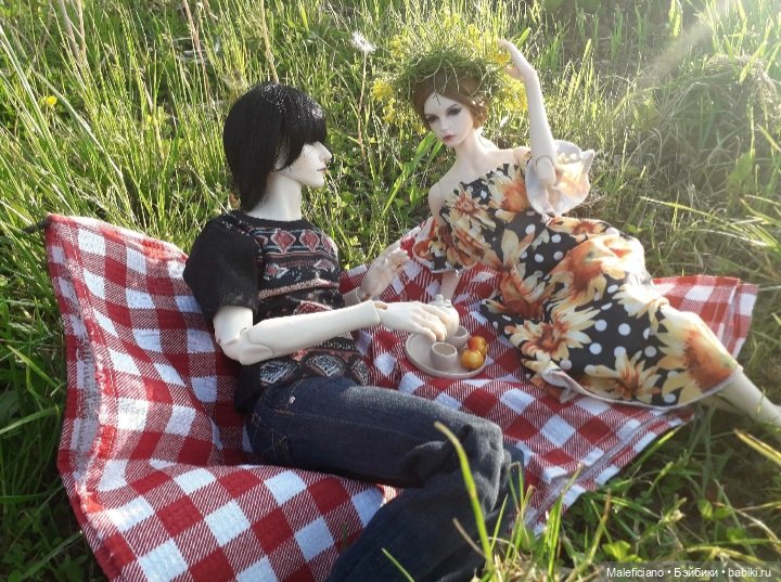Пикник — Куклы Iplehouse (Иплхаус): BJD (БЖД) (фото 3)