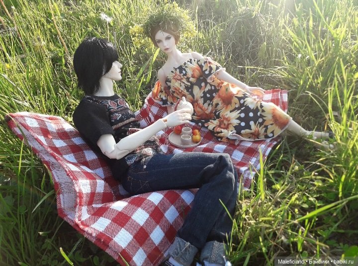 Пикник — Куклы Iplehouse (Иплхаус): BJD (БЖД) (фото 4)