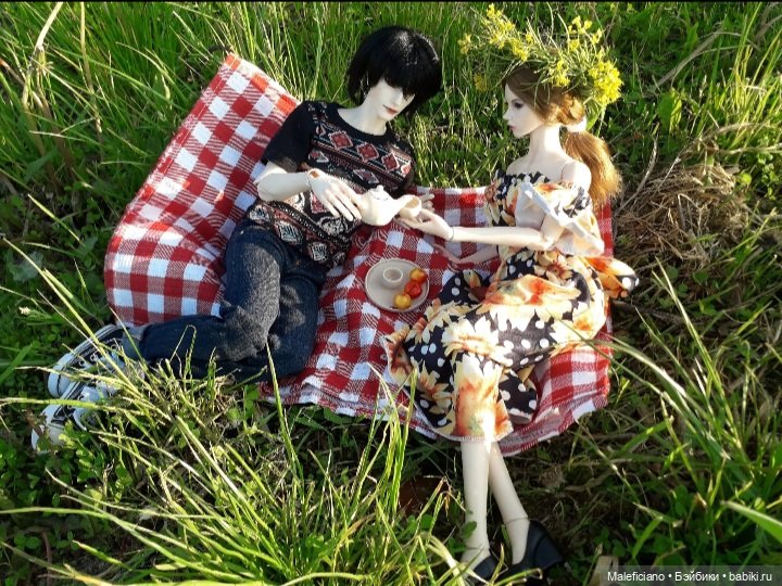 Пикник — Куклы Iplehouse (Иплхаус): BJD (БЖД) (фото 6)