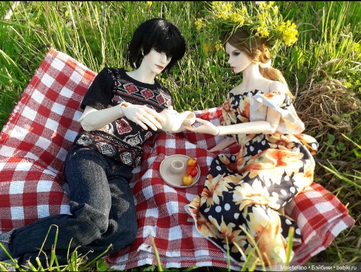 Пикник — Куклы Iplehouse (Иплхаус): BJD (БЖД) (фото 7)