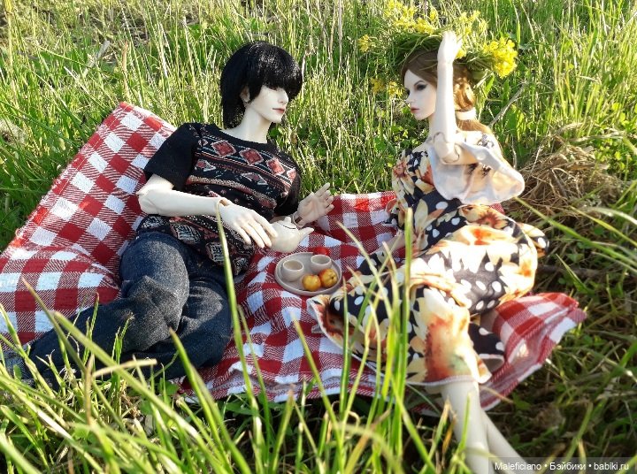 Пикник — Куклы Iplehouse (Иплхаус): BJD (БЖД)
