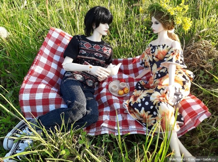 Пикник — Куклы Iplehouse (Иплхаус): BJD (БЖД) (фото 5)