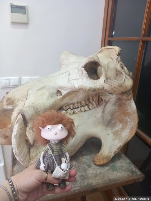 Зоологический Музей Казани