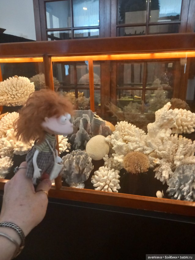 Зоологический Музей Казани