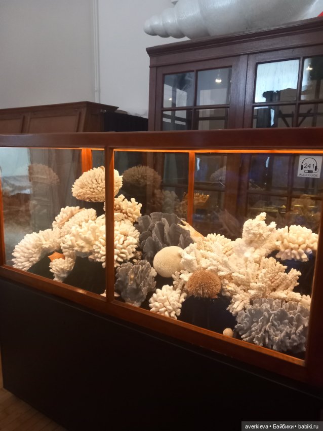 Зоологический Музей Казани