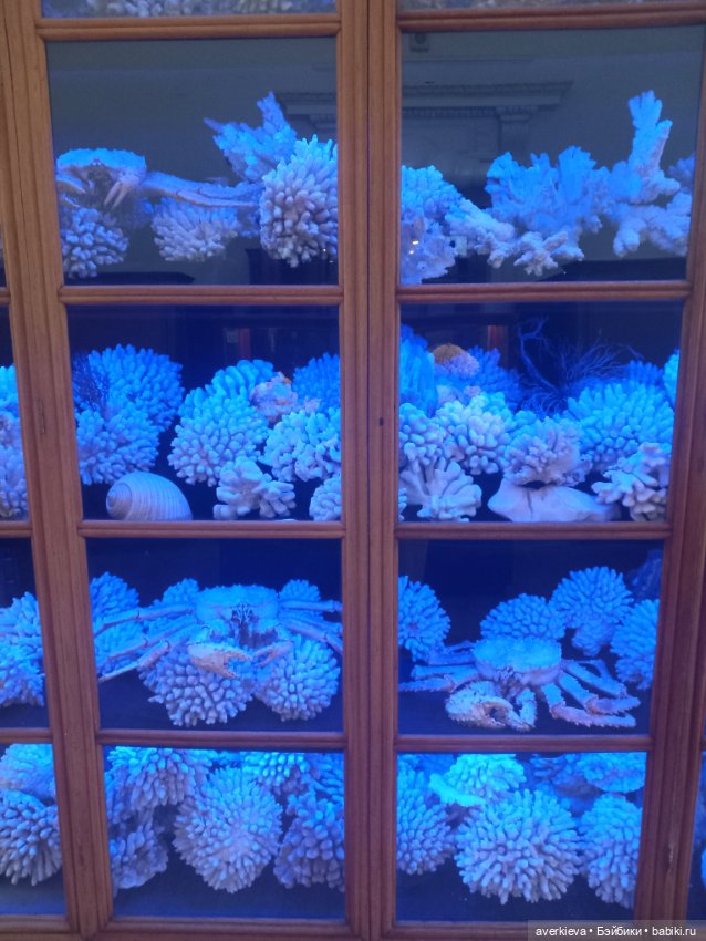 Зоологический Музей Казани