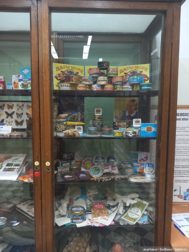 Зоологический Музей Казани (фото 8)
