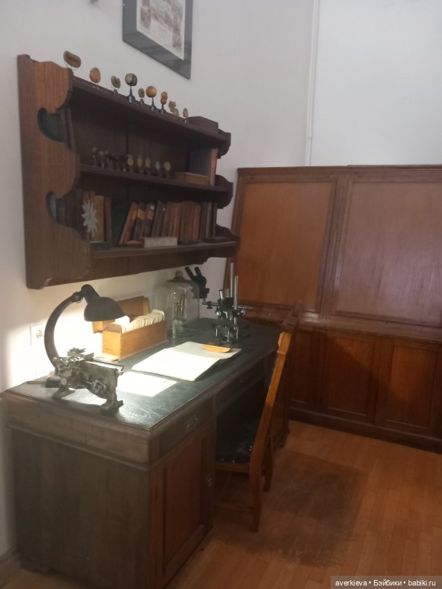 Зоологический Музей Казани