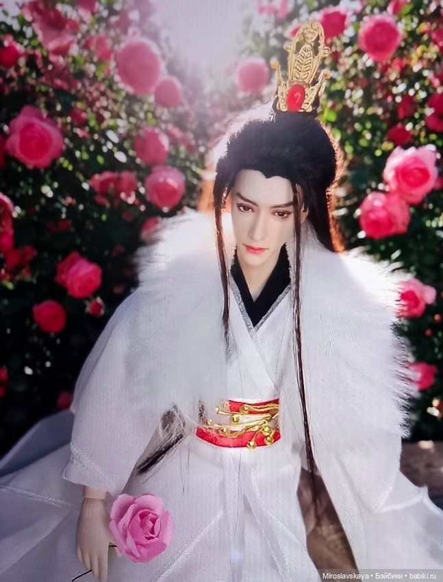 Светлый образ для Юньси — Коллекции шарнирных (фото 2)