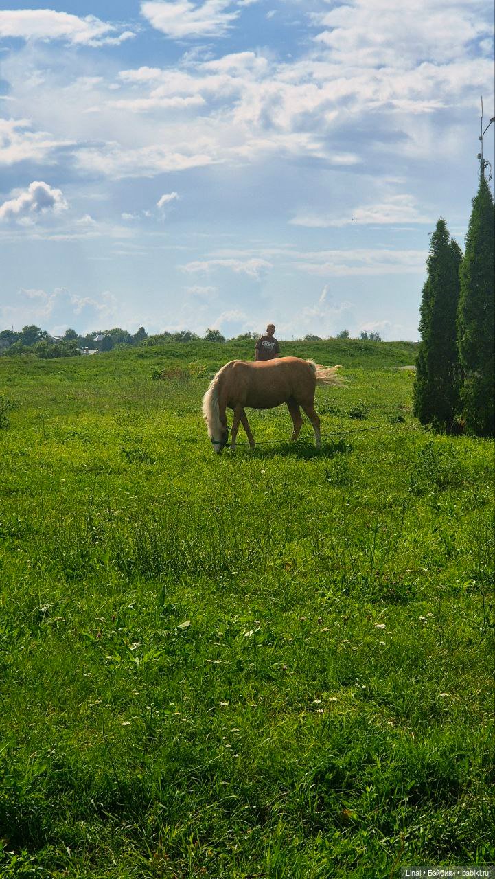 Серпухов и "МОРЕ ВЕЛИКИХ"