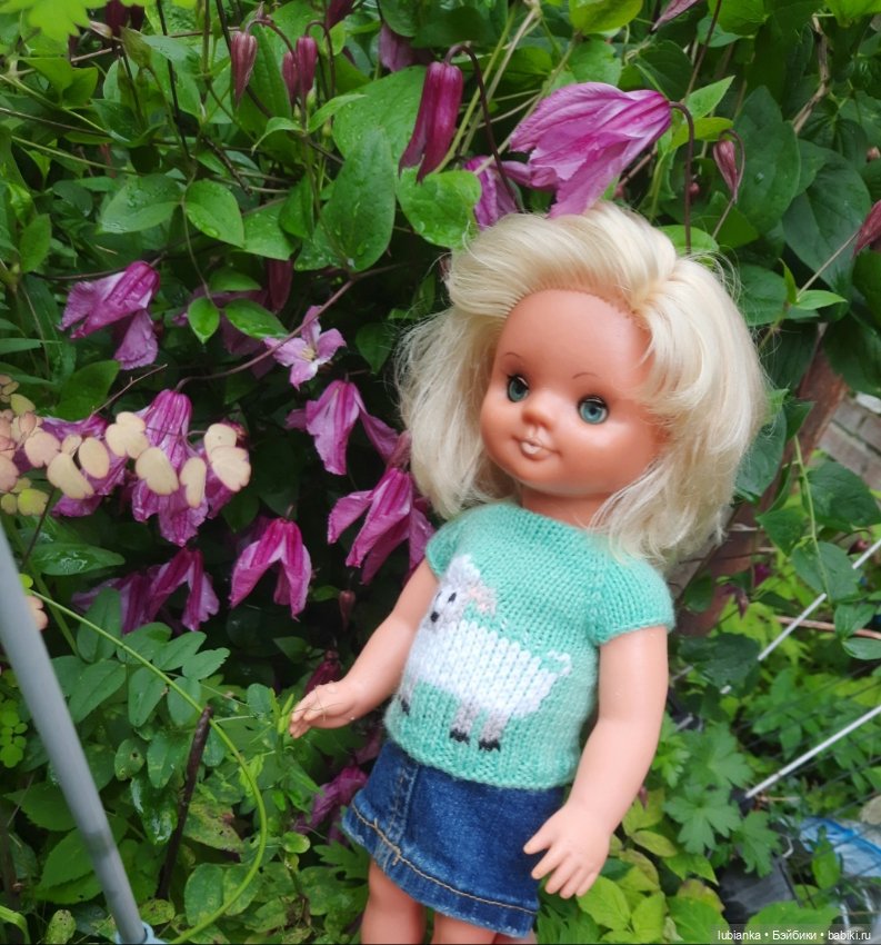 Неказистая,но с изюминкой (фото 8)