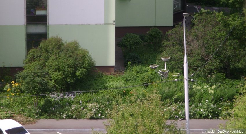 Мальвы и не только — Куклы Zwergnase (Цвергназе/Цверги): фото