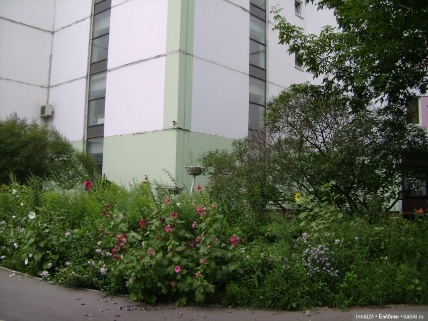 Мальвы и не только — Куклы Zwergnase (Цвергназе/Цверги): фото (фото 4)