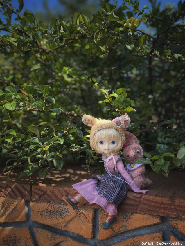 Hujoo Berry — Худжики