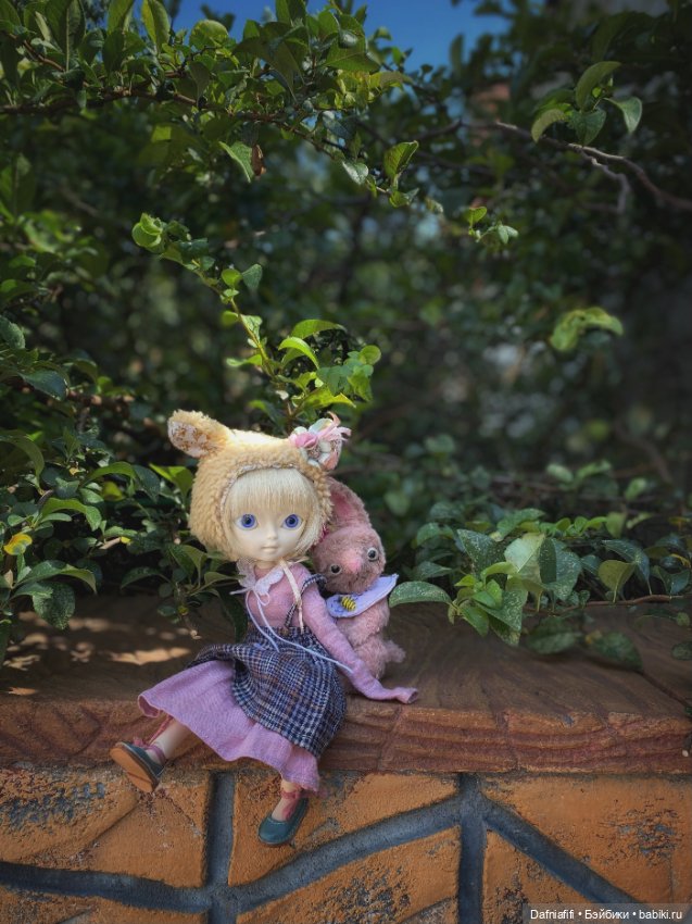 Hujoo Berry — Худжики