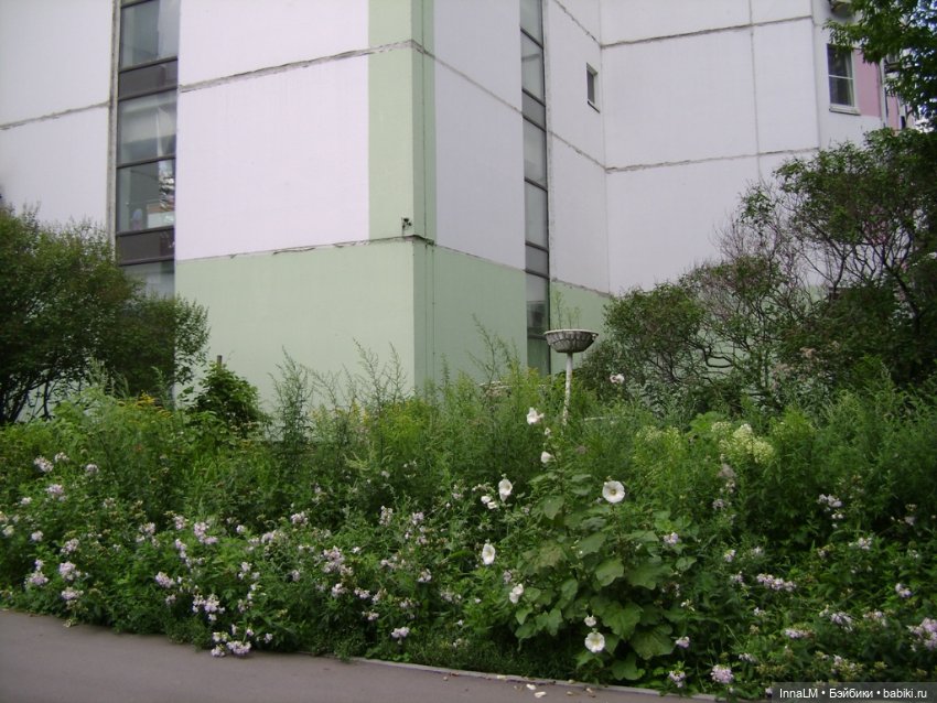 Мальвы и не только — Куклы Zwergnase (Цвергназе/Цверги): фото (фото 3)