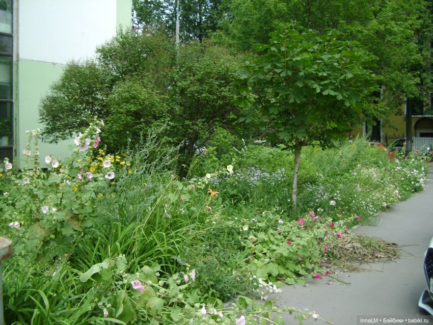 Мальвы и не только — Куклы Zwergnase (Цвергназе/Цверги): фото