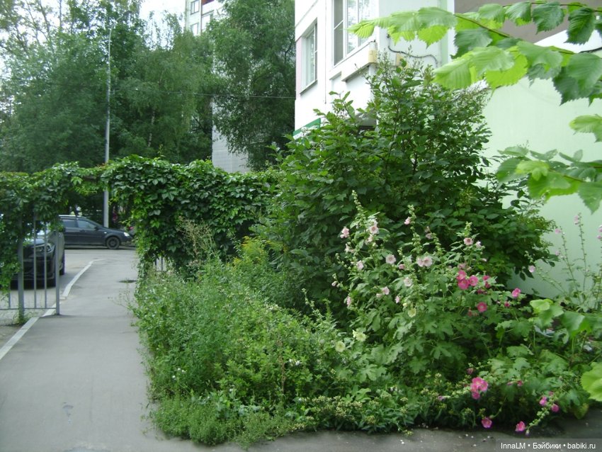 Мальвы и не только — Куклы Zwergnase (Цвергназе/Цверги): фото