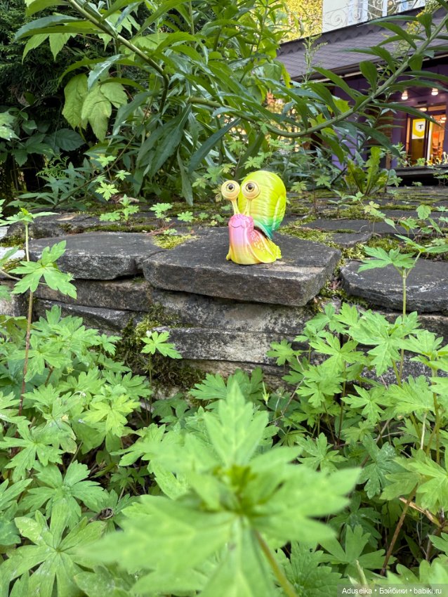 Улитки в эфире 😁 снова про питомцев