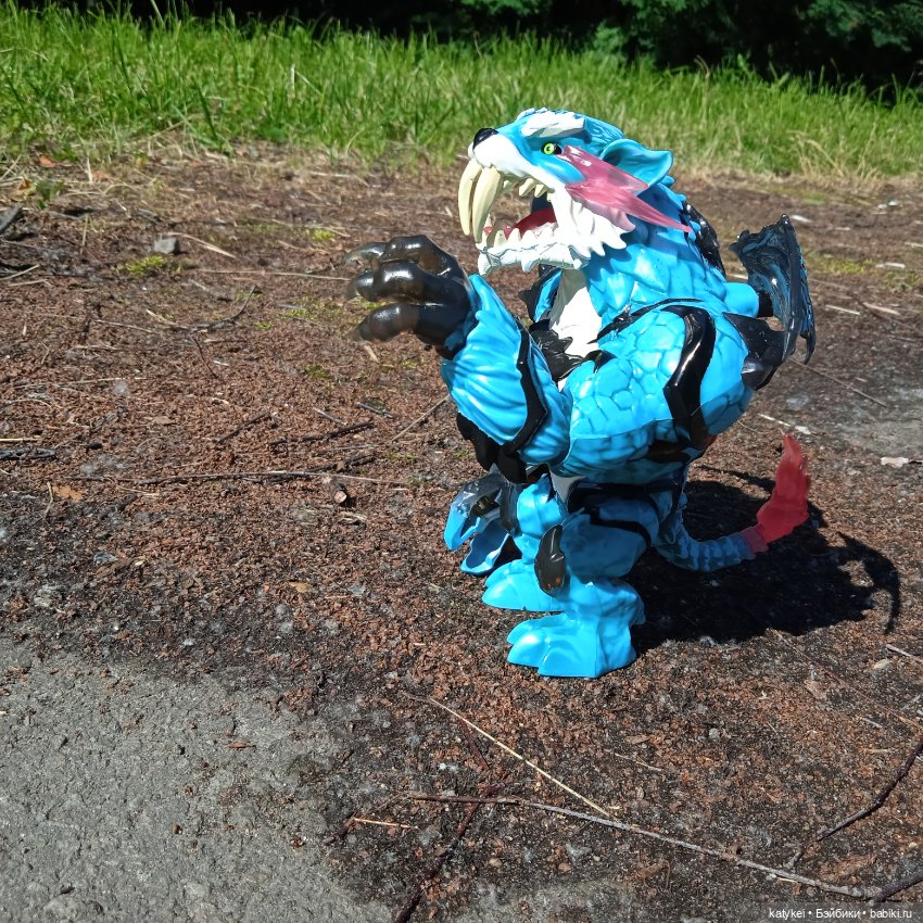 Махох сочиняет (3) и гуляет (фото 9)